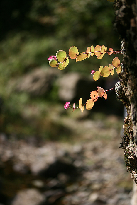 2009.09.19 188.jpg