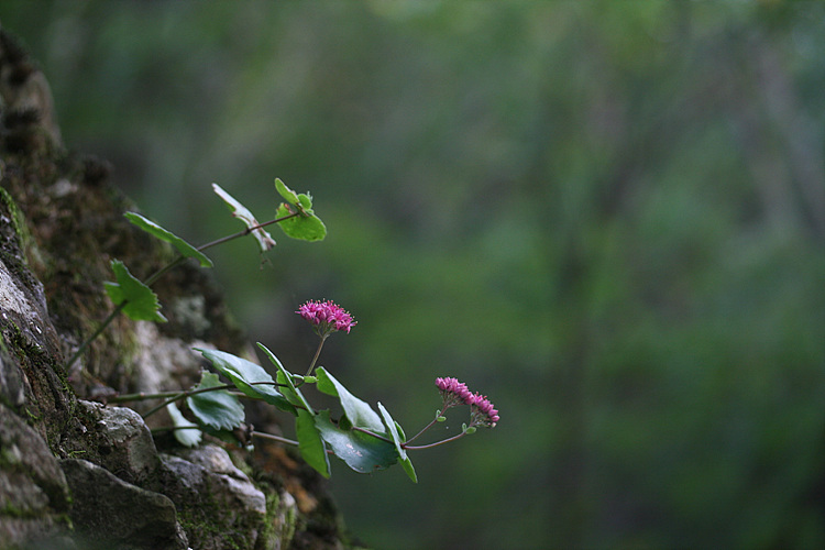 2009.09.19 136.jpg