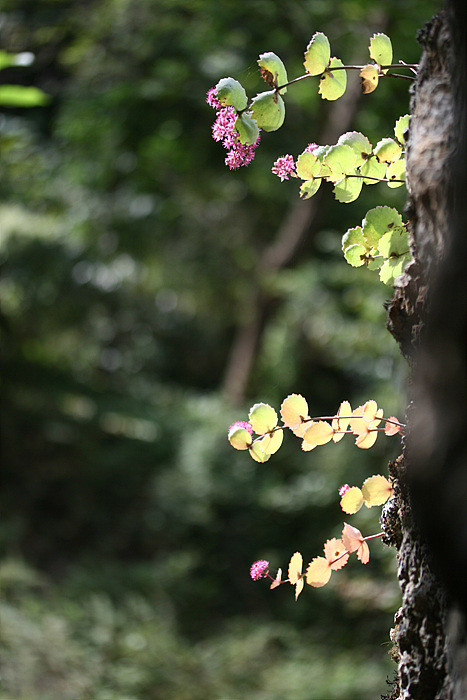 2009.09.19 186.jpg