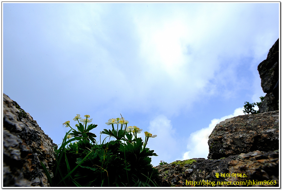 DSC_5680.jpg