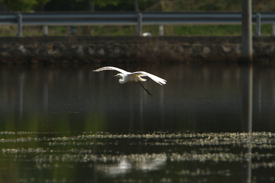2010-05-13 042.jpg