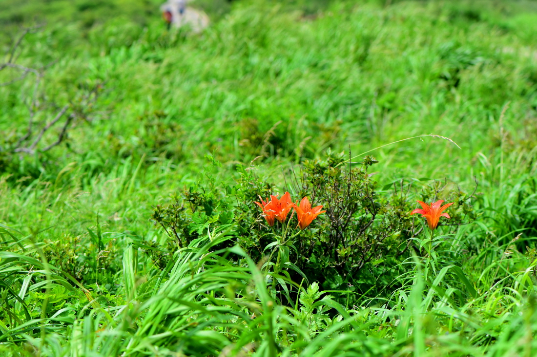 DSC_4079.JPG