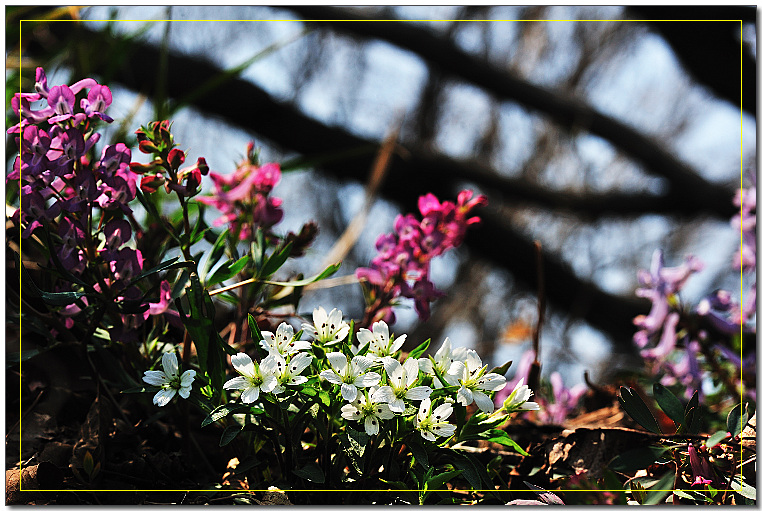 DSC_0299-1.jpg