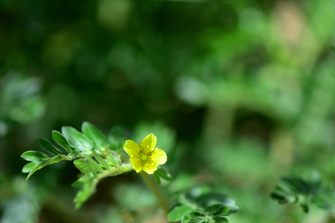 DSC_7487.JPG