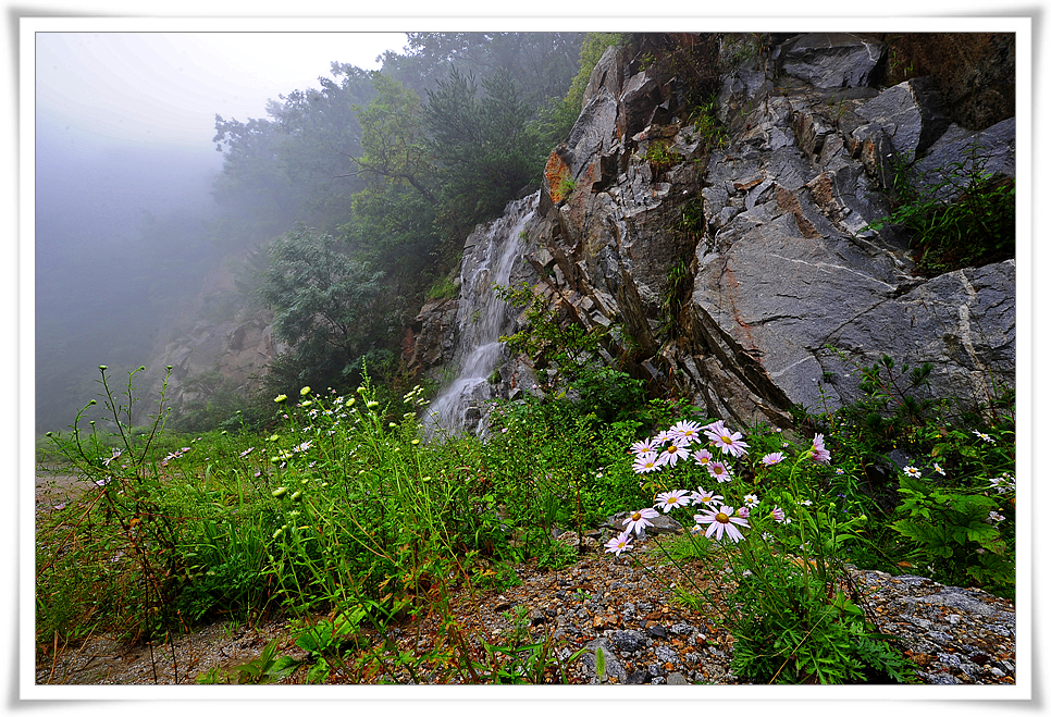 DSC_1663-1.jpg
