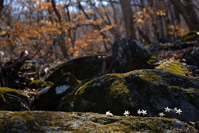20130322_0011-1.jpg