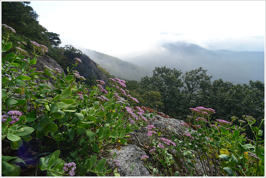 DSC_0976.jpg
