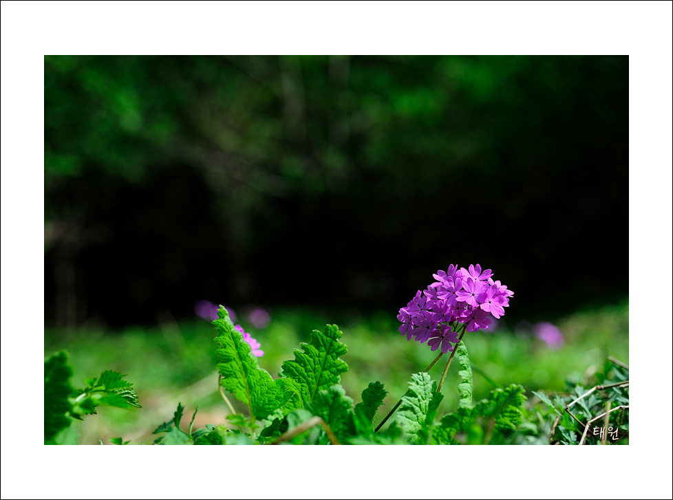 DSC_0140.jpg