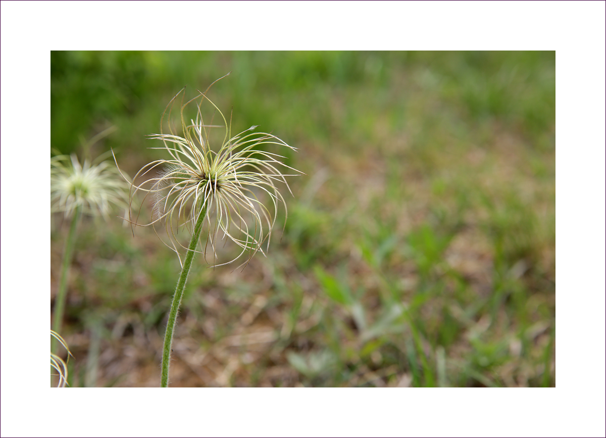 DURI9066-1.jpg