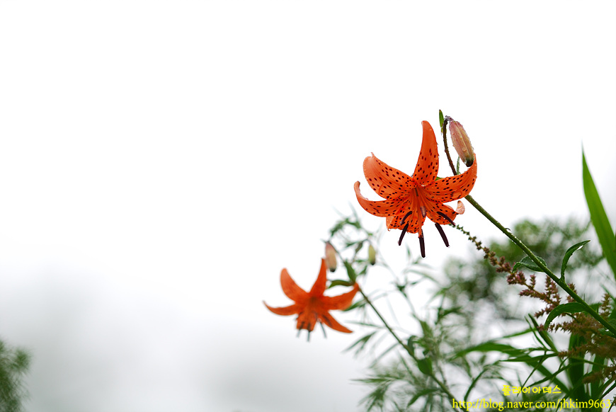 DSC_3713.jpg