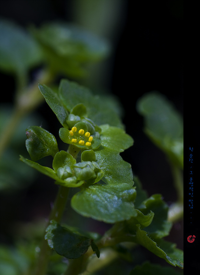 s2327265.jpg