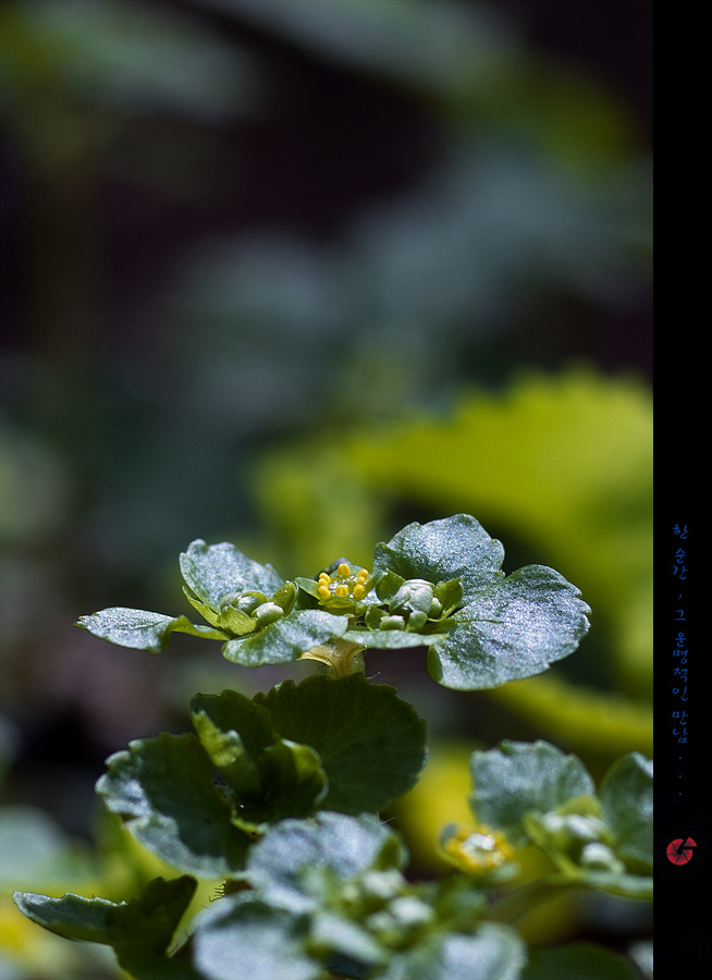 s2327266.jpg