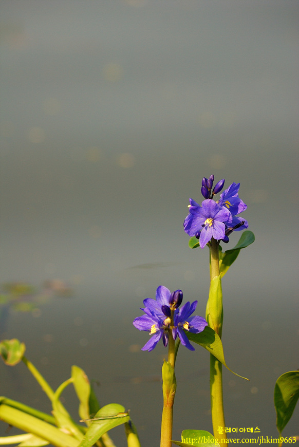 DSC_8872.jpg