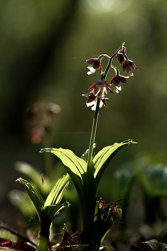 2010-05-07 090.jpg
