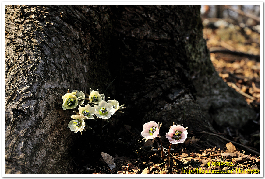 DSC_9170.jpg