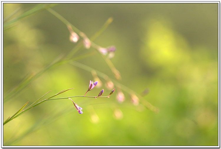 IMG_0093.CR2.jpg