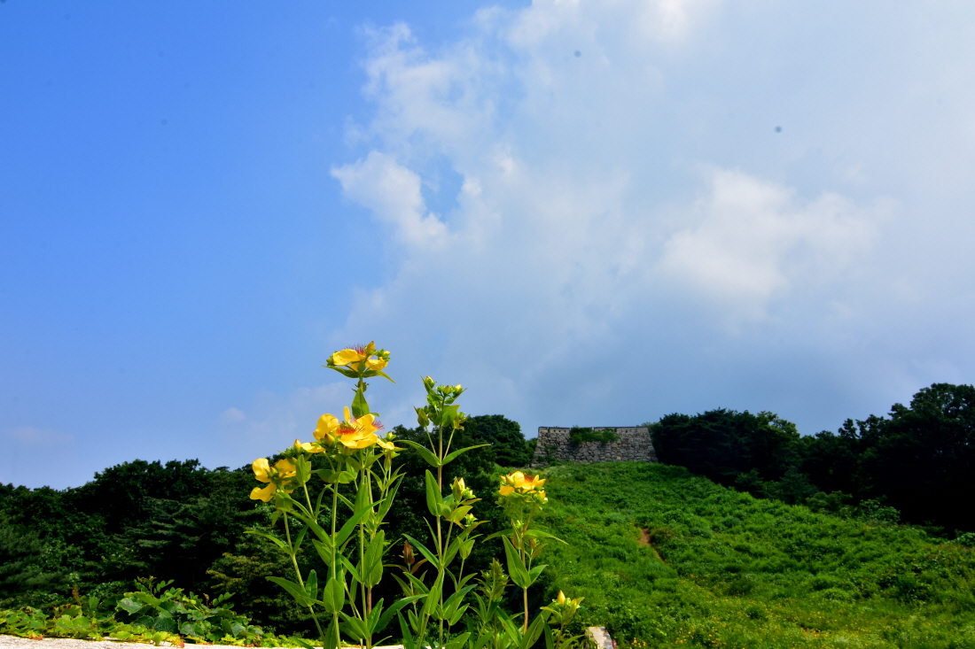 DSC_0537.JPG