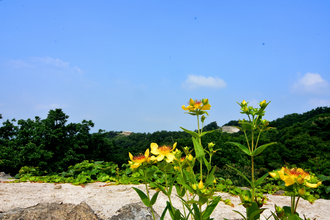 DSC_0552.JPG
