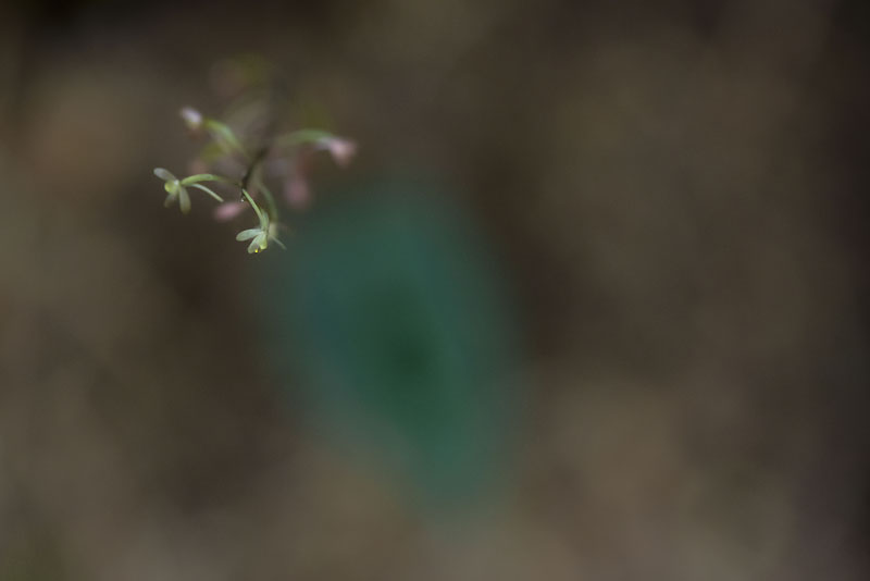 20130616_0133a-1.jpg