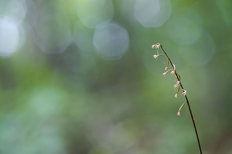 20130616_0149a-1.jpg