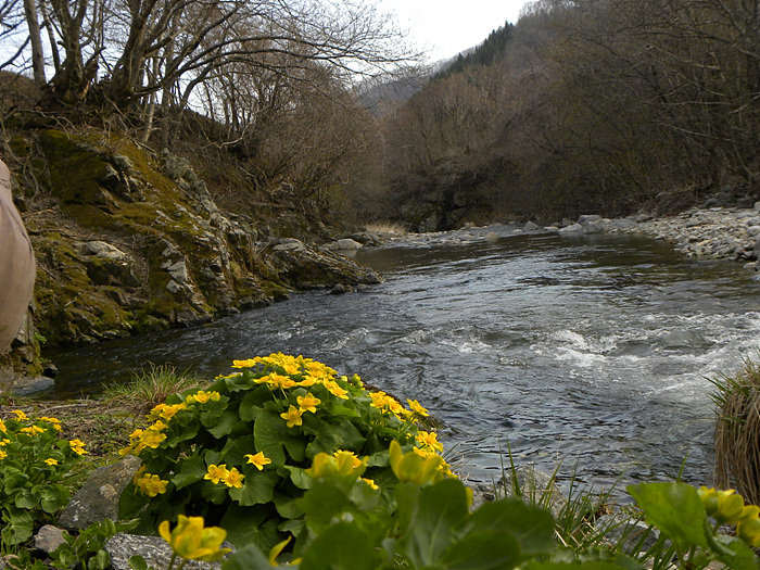 DSCN1763.jpg