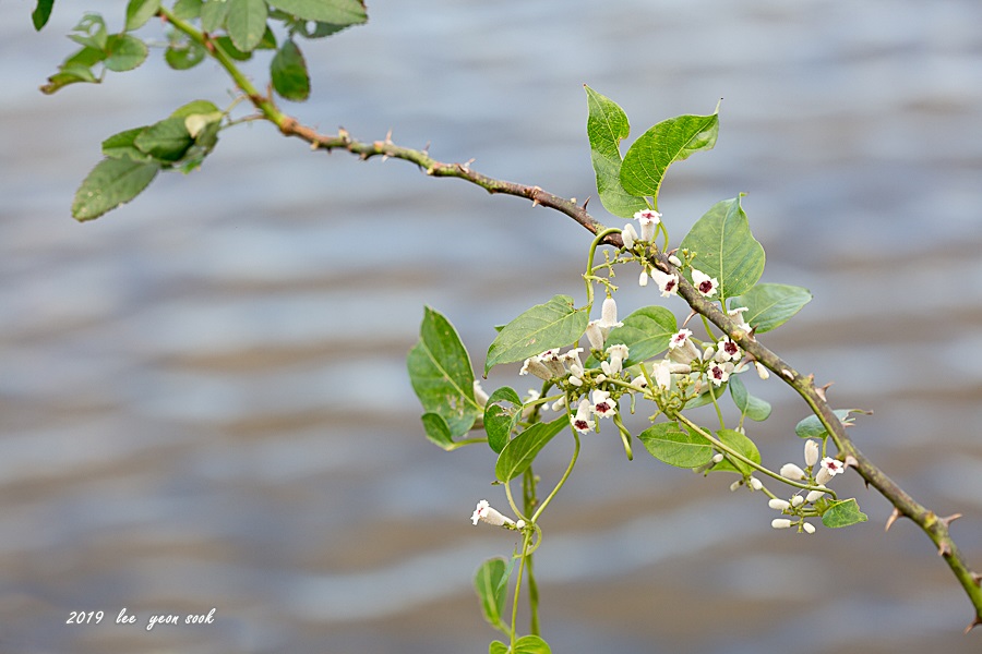 20190913-P39A9790.jpg