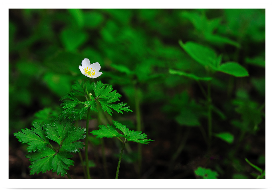 DSC_8225.jpg