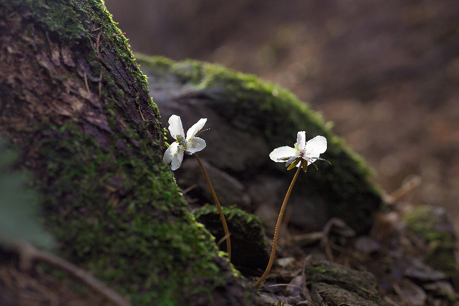 변산바람G2K48785.jpg