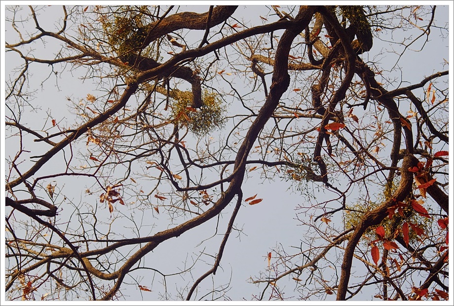 겨우2.JPG