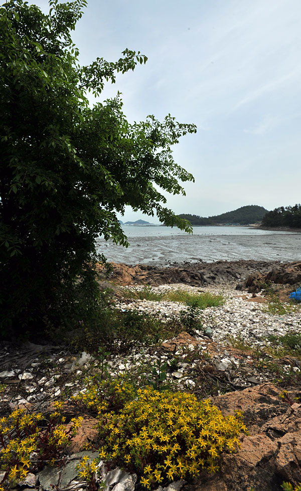 20110522_0089-1.jpg