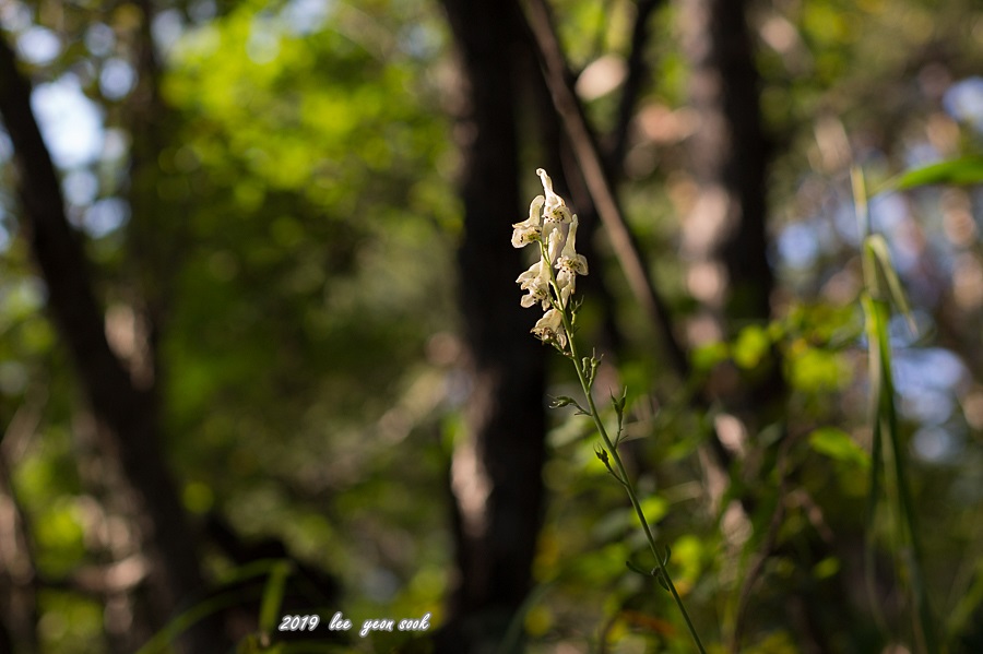 20190929-P39A0715.jpg
