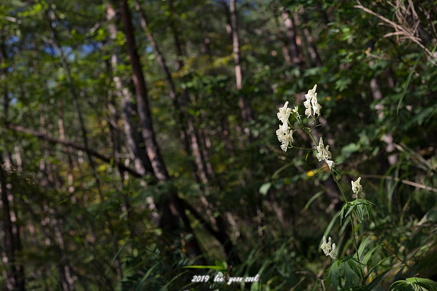 20190929-P39A0666.jpg