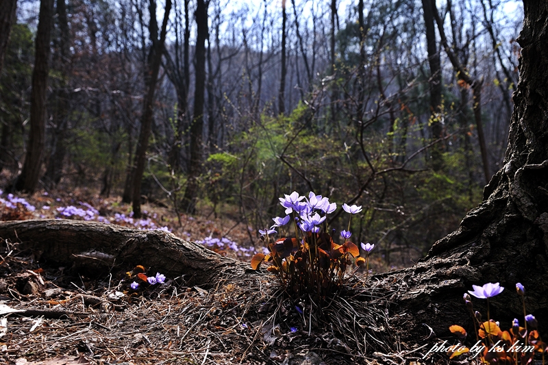 DSC_1182.jpg