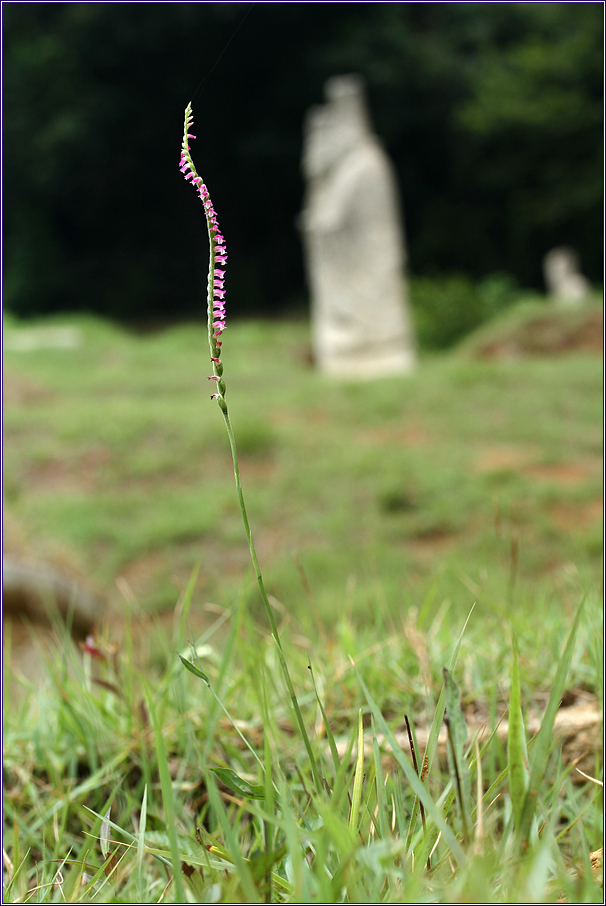 2012-07-12 045.jpg