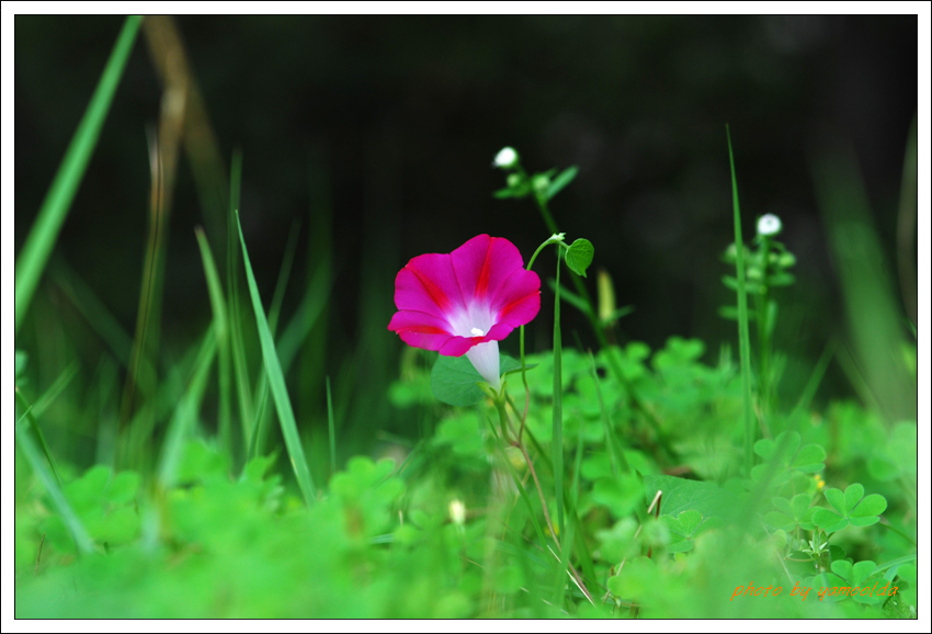 DSC_6751.jpg