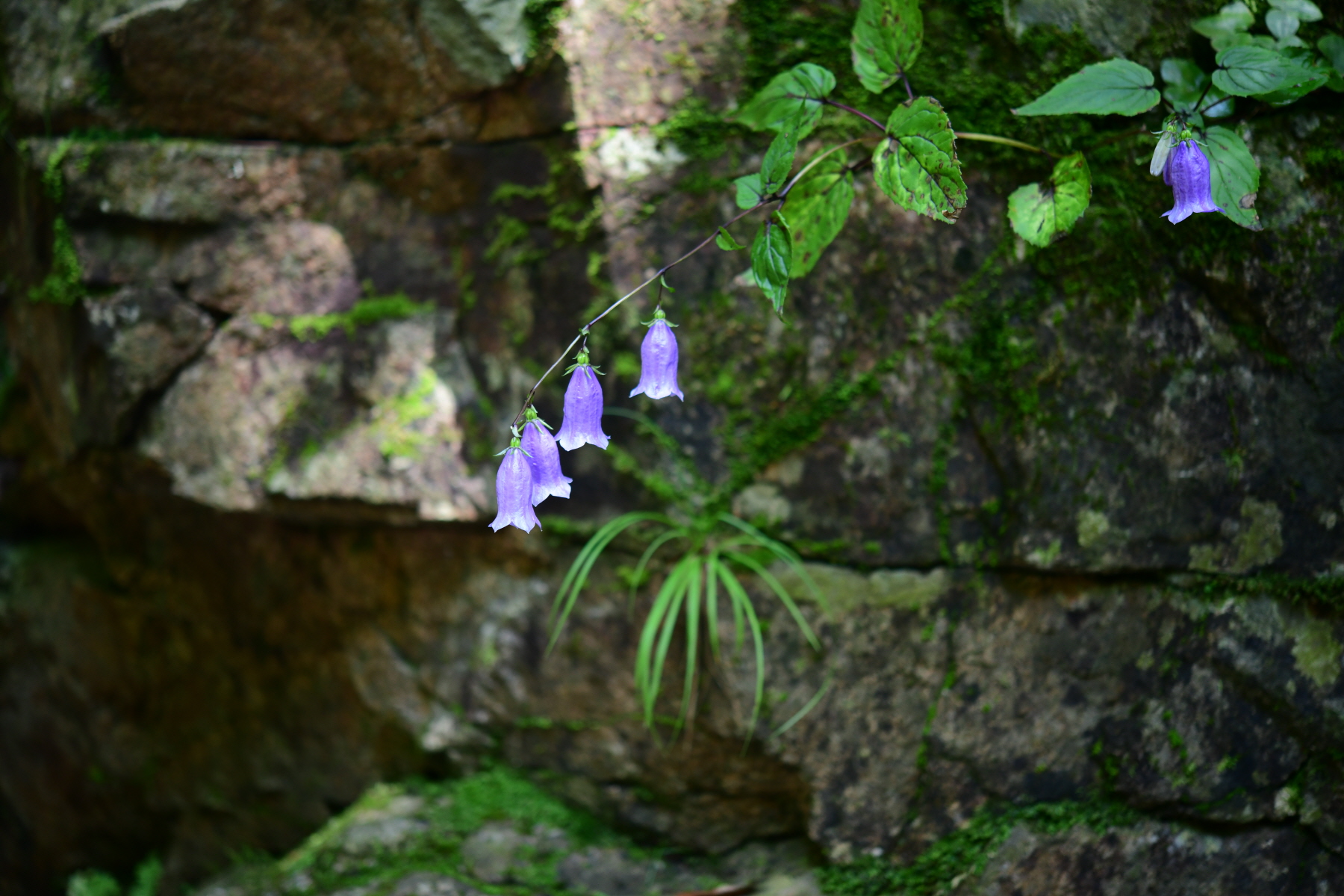 크기변환_DSC_3022.JPG