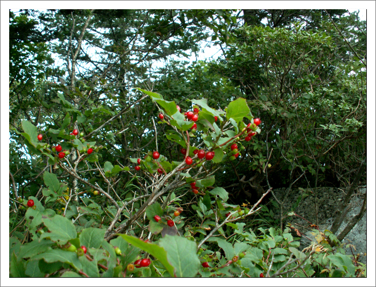 90819화악산 157.jpg