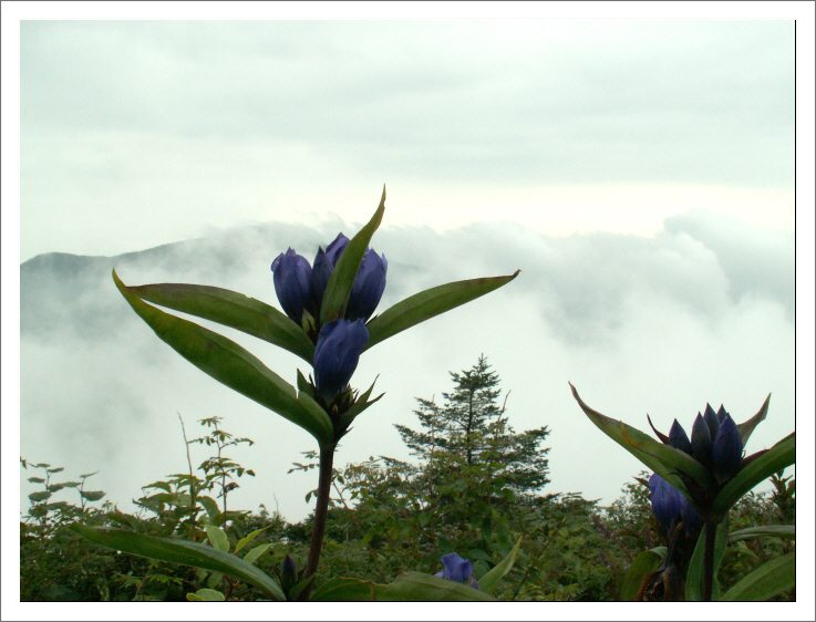 90819화악산 033.jpg