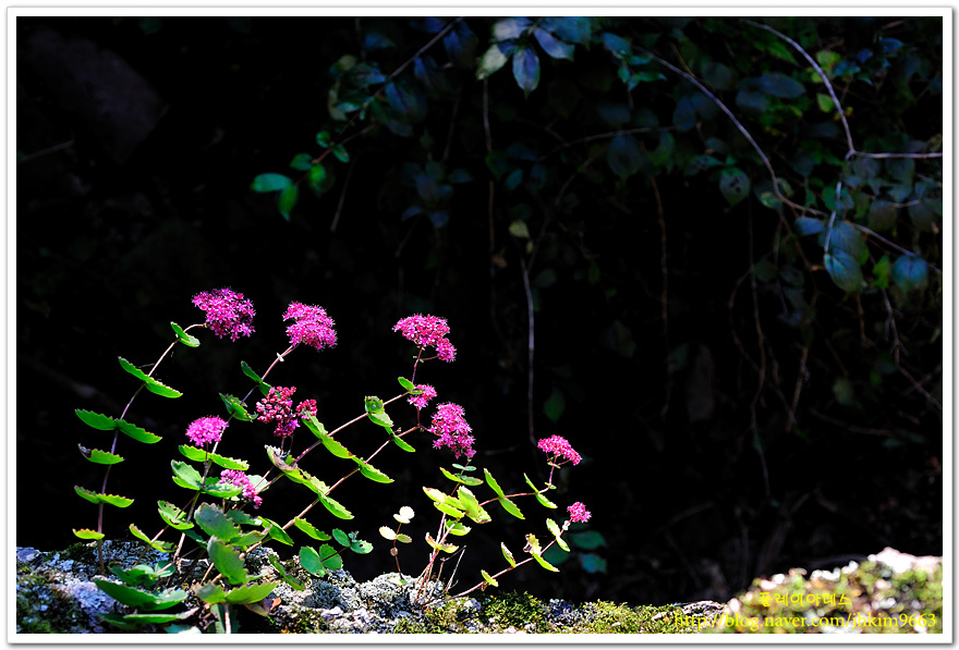 DSC_6222.jpg