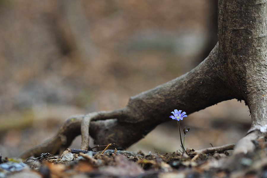 20120331_0084-1.jpg