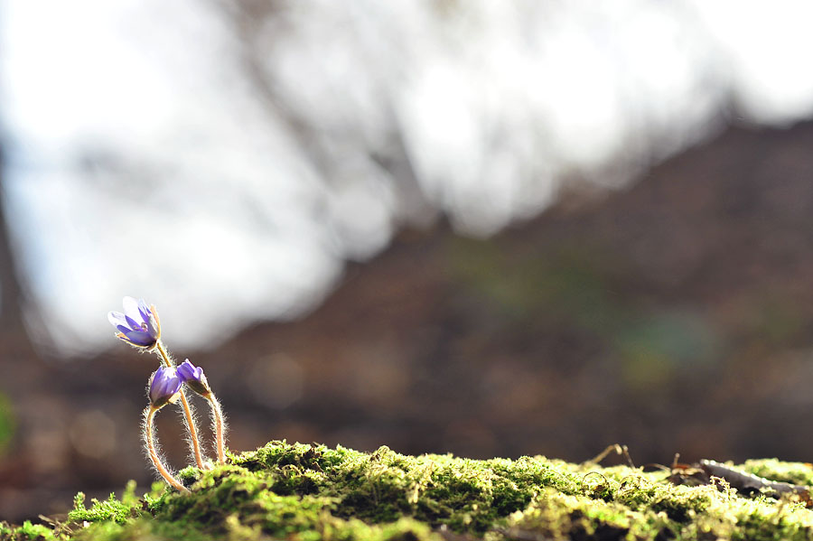 20120331_0123-1.jpg