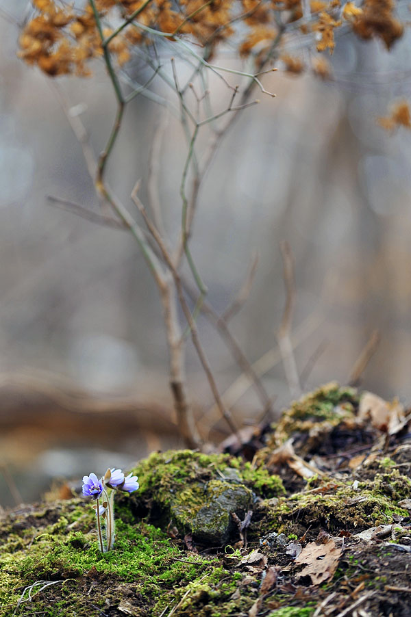20120331_0020-1.jpg