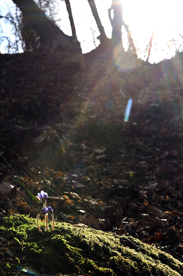 20120331_0066-1.jpg