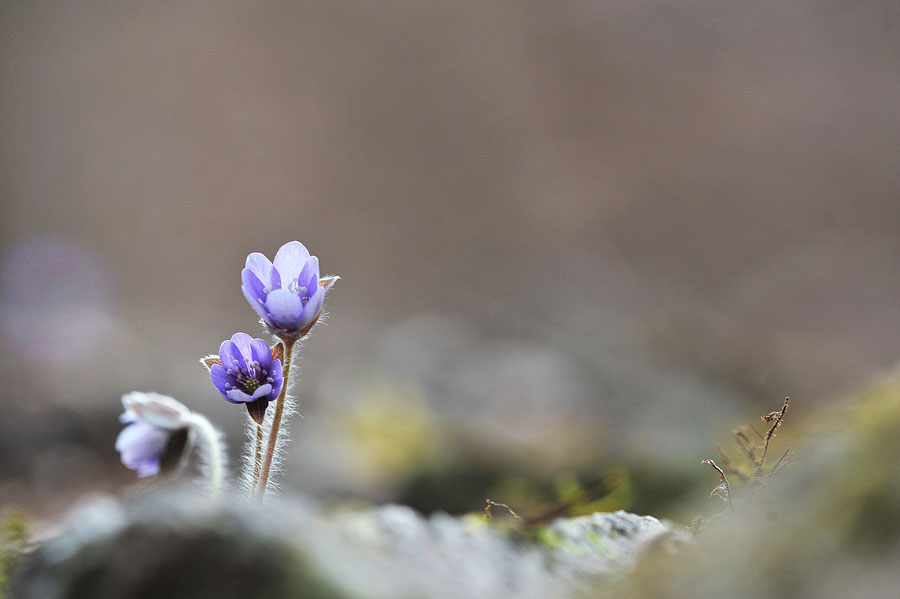 20120331_0054-1.jpg