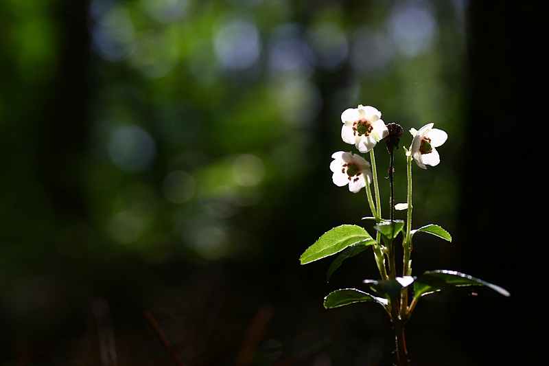 20090621안면도 575.jpg