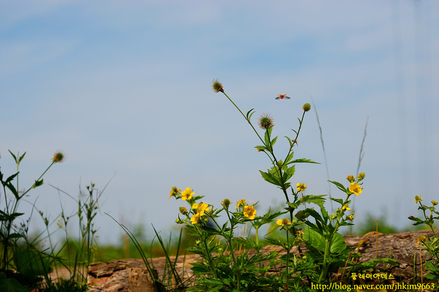 DSC_2576.jpg