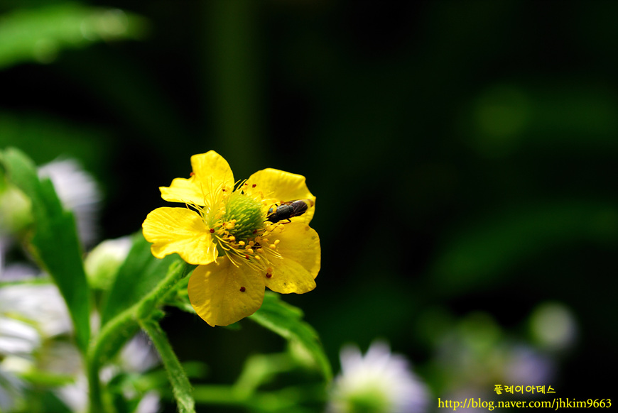 DSC_2537.jpg