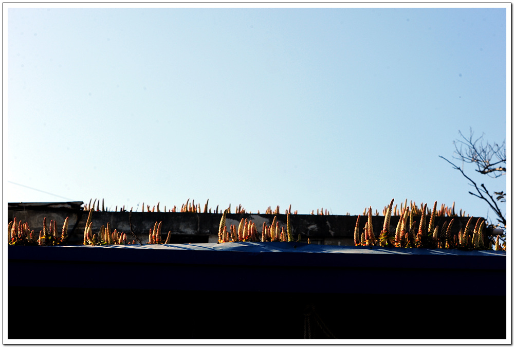 DSC_5322.jpg