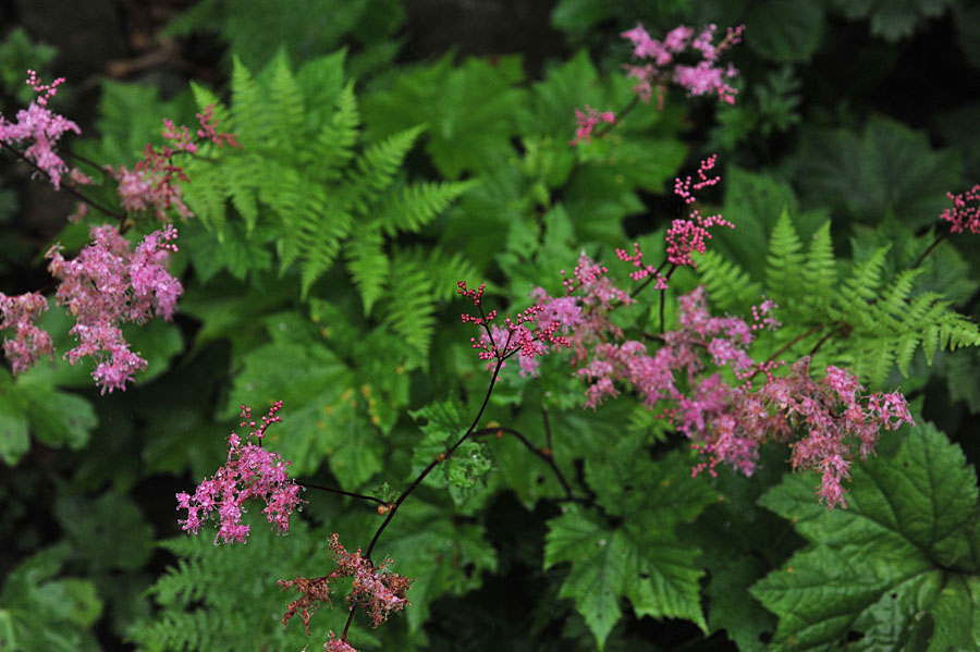 110722_0057-1.jpg