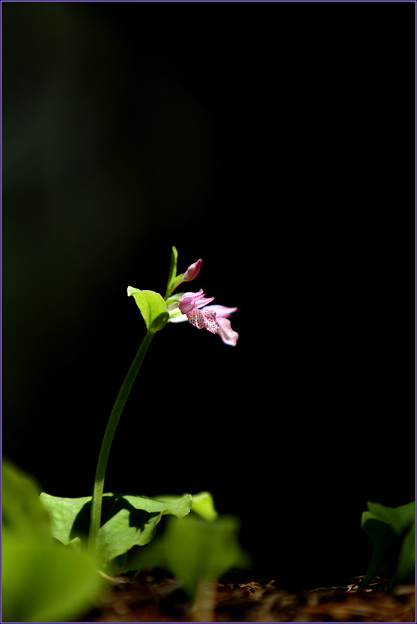 2011-05-24 177.jpg